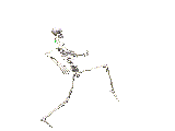 animation of skeleton running
